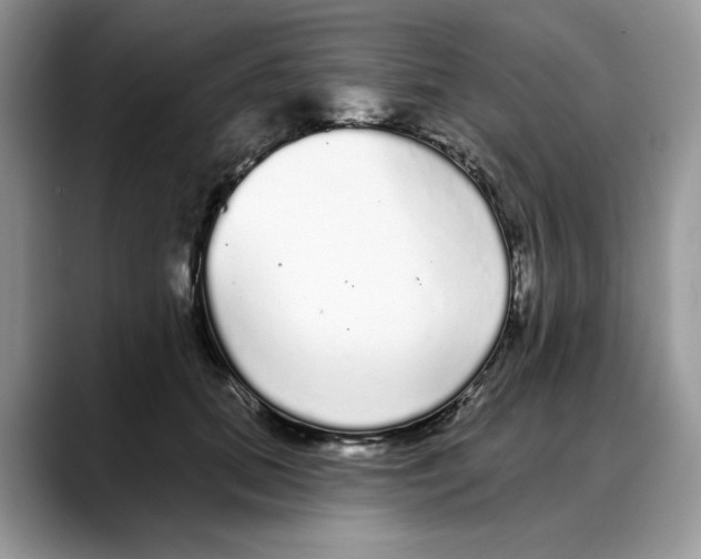 X0000088020655200706081442