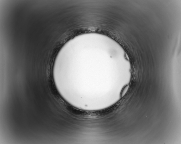X0000088020656200706081442