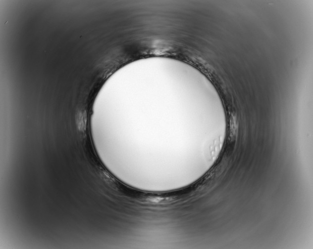 X0000088020657200706081442