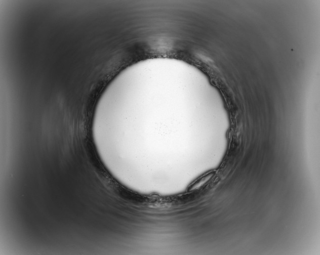 X0000088020658200706081442