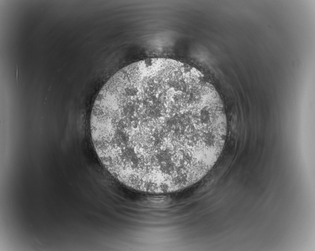 X0000088020659200706081442