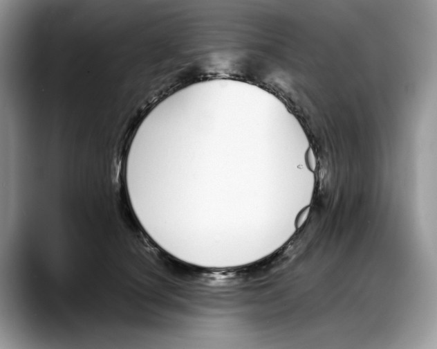 X0000088020660200706081442