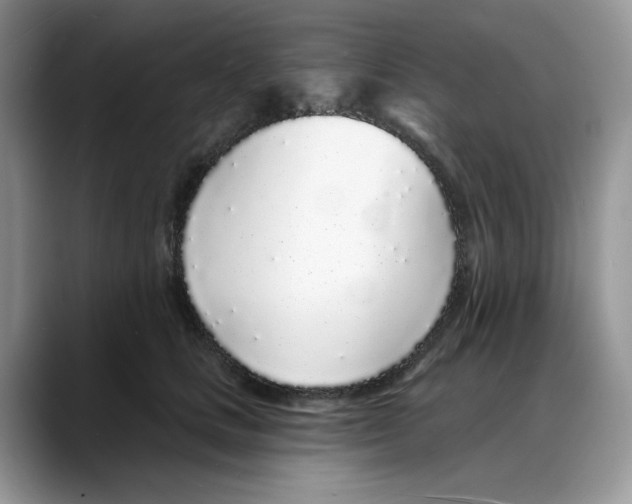 X0000088020661200706081442