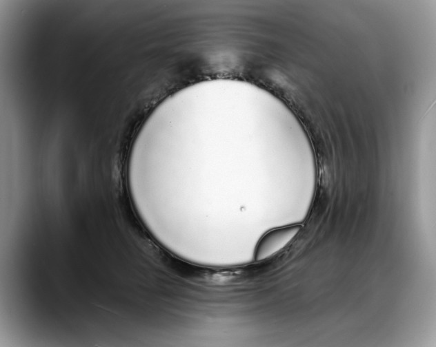 X0000088020662200706081442