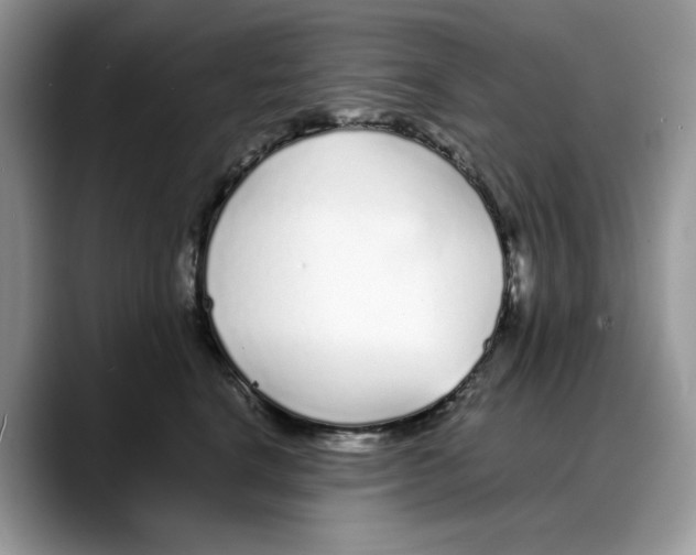 X0000088020664200706081442