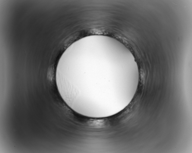X0000088020665200706081442