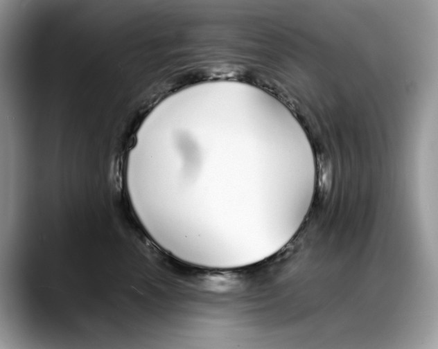 X0000088020666200706081442
