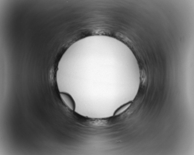 X0000088020670200706081442