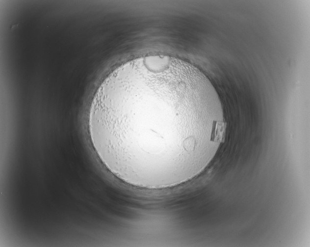 X0000088020672200706081442