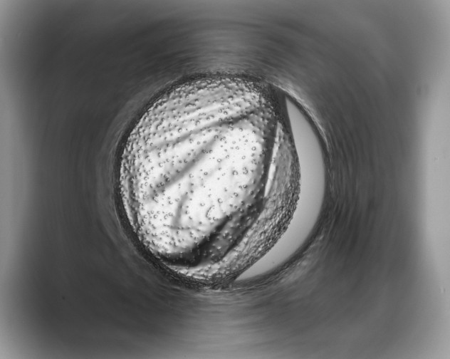 X0000088020673200706081442