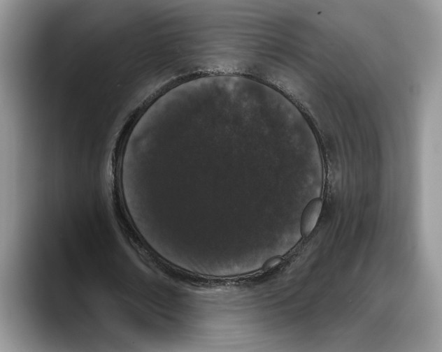 X0000088020674200706081442