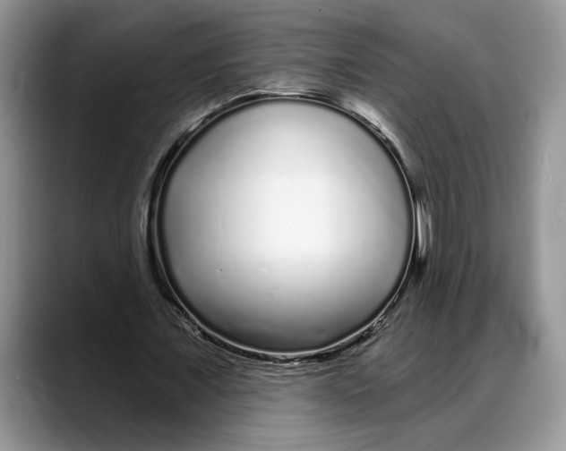 X0000088020675200706081442