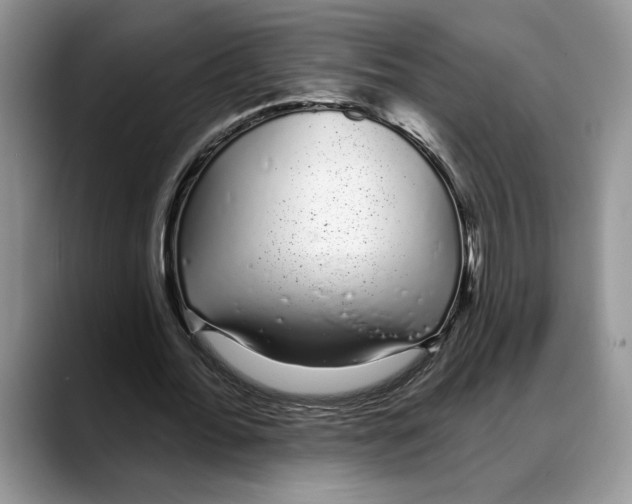 X0000088020676200706081442