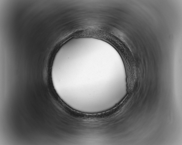 X0000088020677200706081442