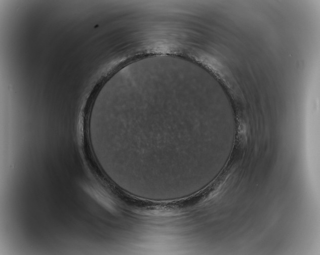 X0000088020678200706081442