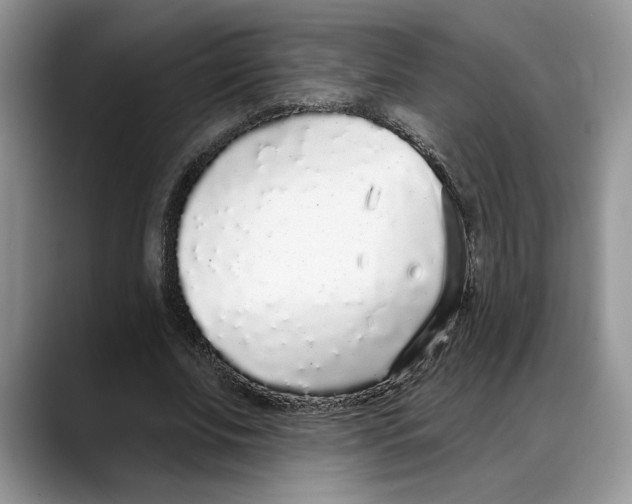 X0000088020679200706081442