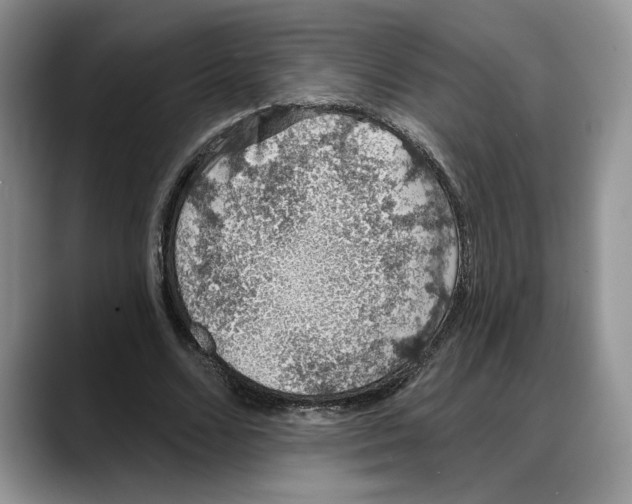 X0000088020680200706081442
