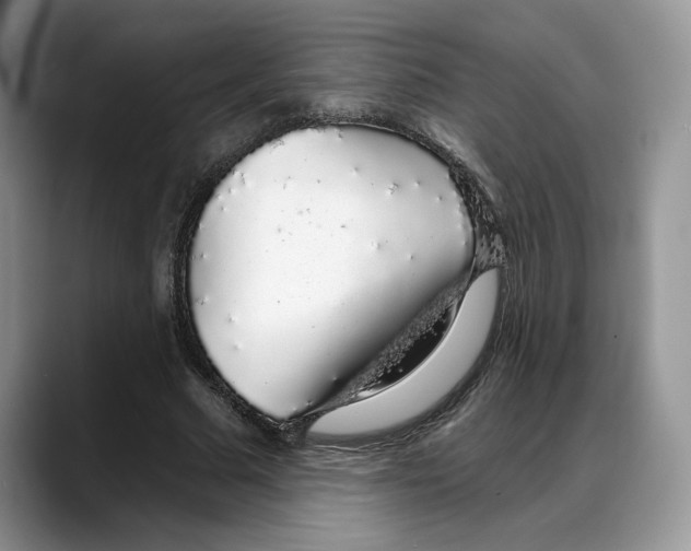 X0000088020681200706081442