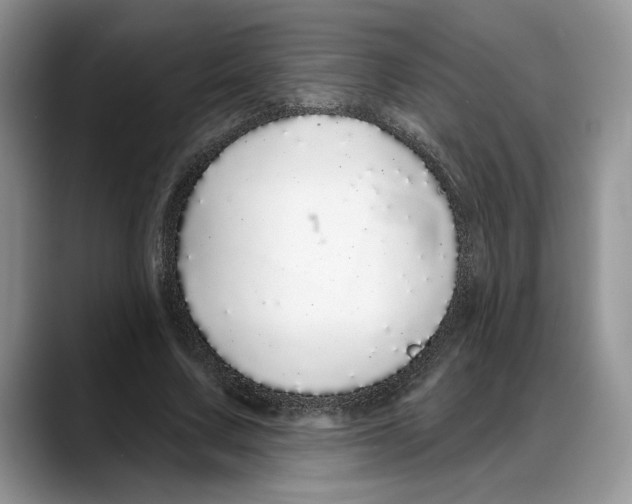X0000088020683200706081442