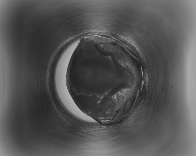 X0000088020684200706081442