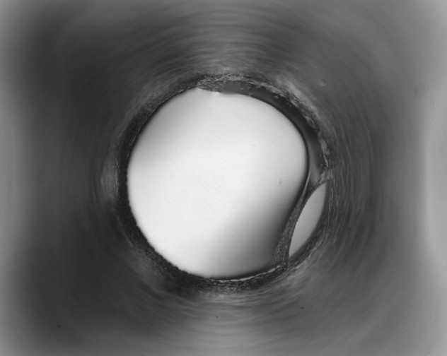 X0000088020685200706081442