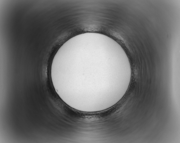 X0000088020686200706081442