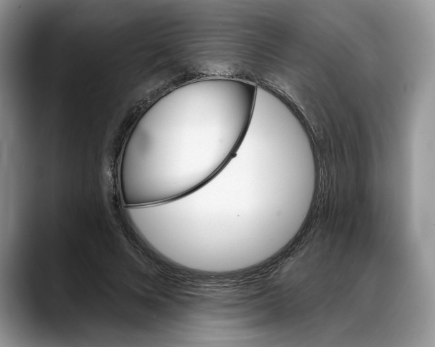 X0000088020688200706081442
