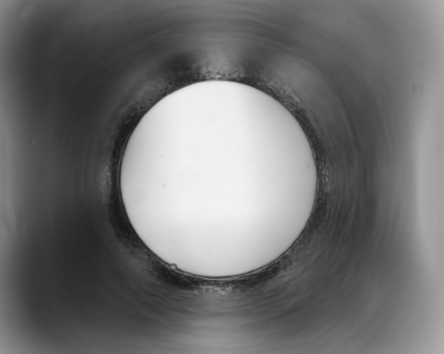 X0000088020690200706081442