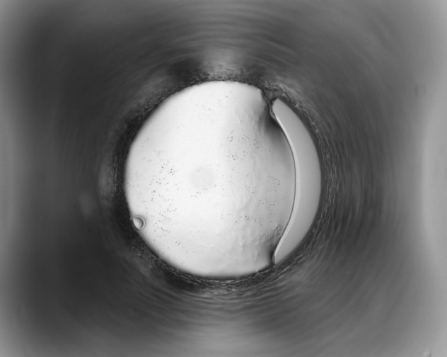 X0000088020691200706081441