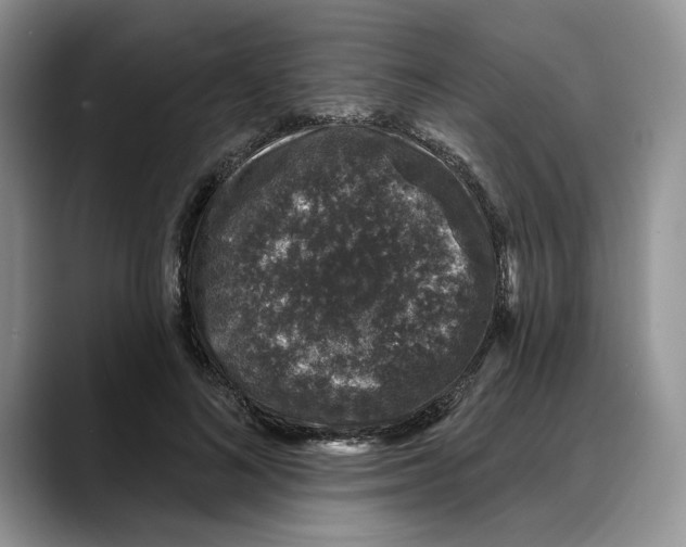 X0000088020692200706081441