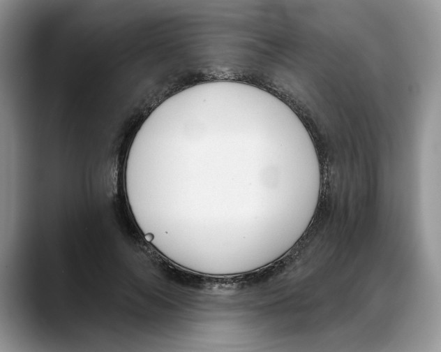 X0000088020694200706081441