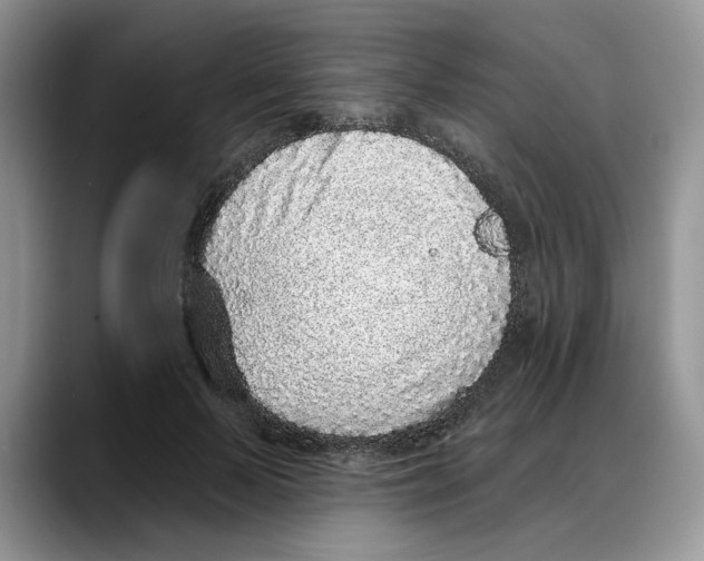 X0000088020695200706081441