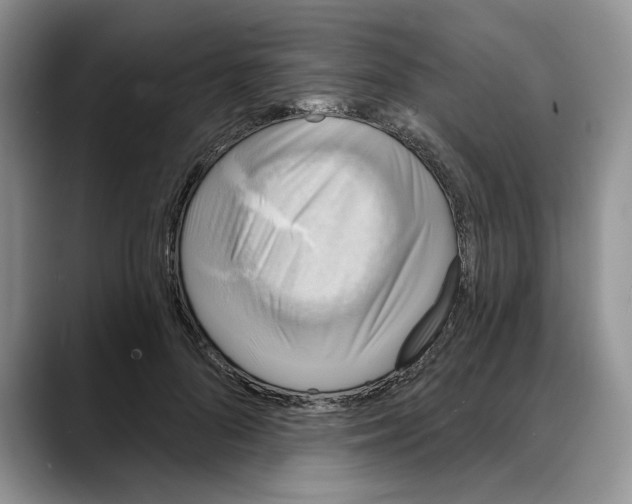 X0000088020696200706081441