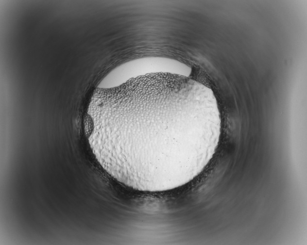 X0000088020697200706081441