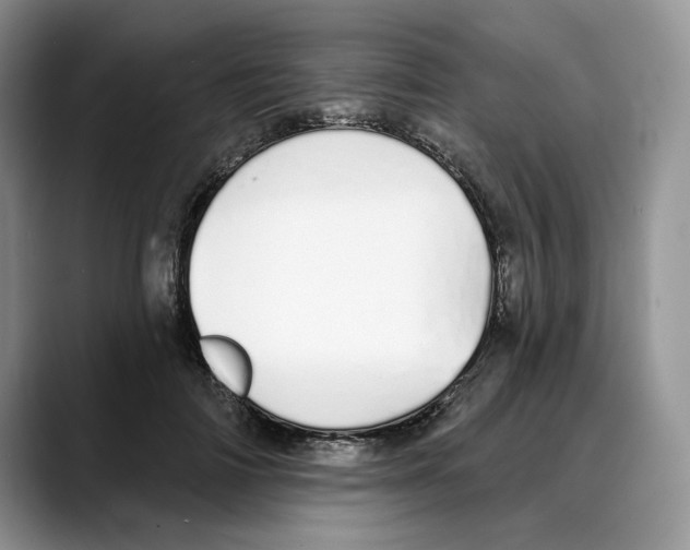 X0000088020698200706081441