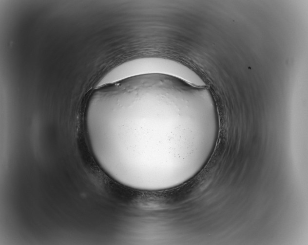X0000088020699200706081441