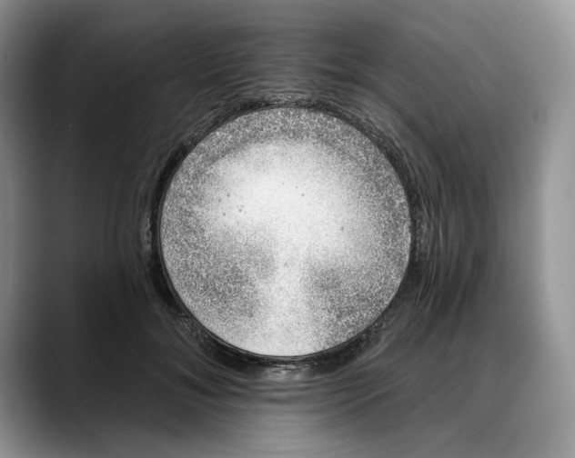 X0000088020700200706081441