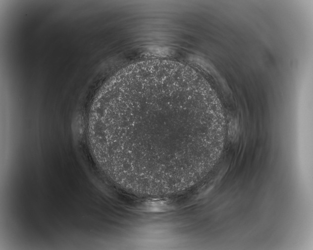 X0000088020701200706081441