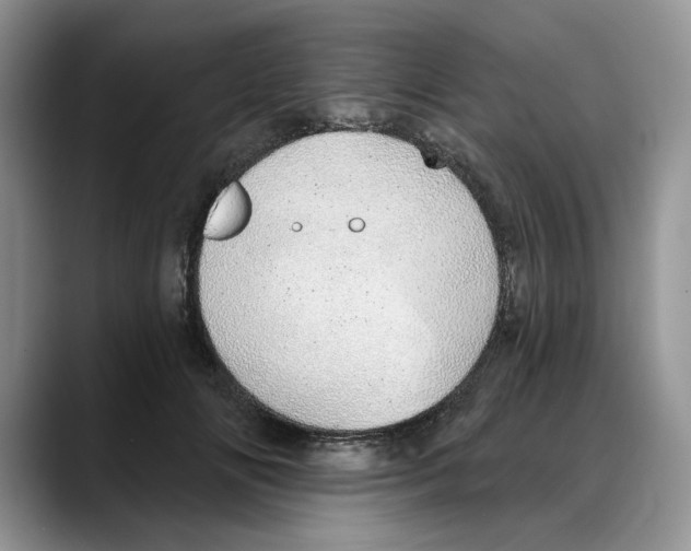 X0000088020702200706081441