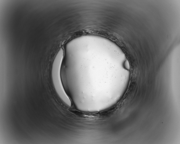X0000088020703200706081441