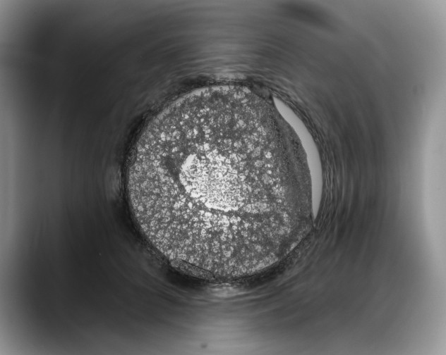 X0000088020704200706081441