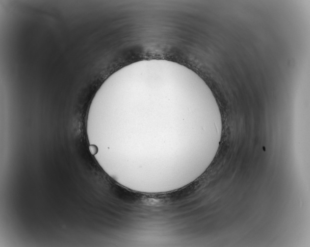 X0000088020706200706081441