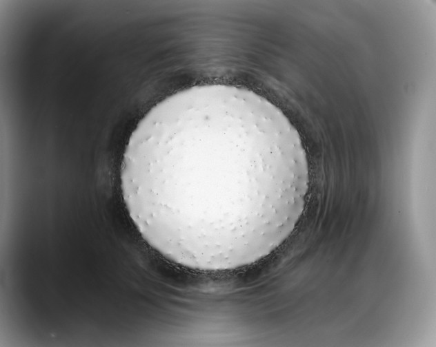 X0000088020707200706081441