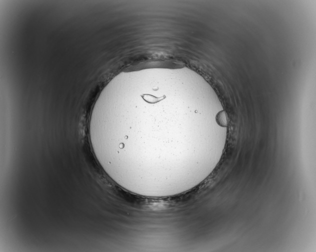 X0000088020710200706081441