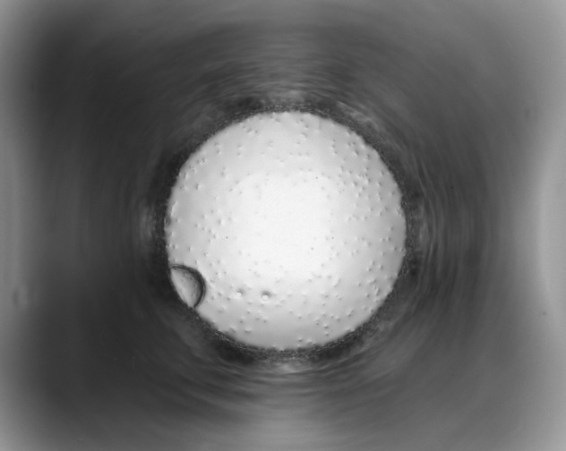X0000088020711200706081441