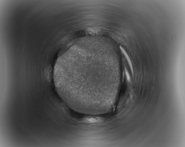 X0000088020712200706081441