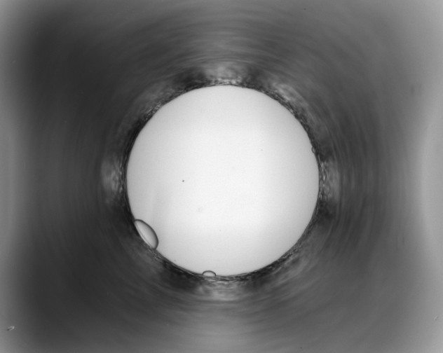 X0000088020713200706081441