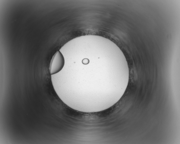 X0000088020714200706081441