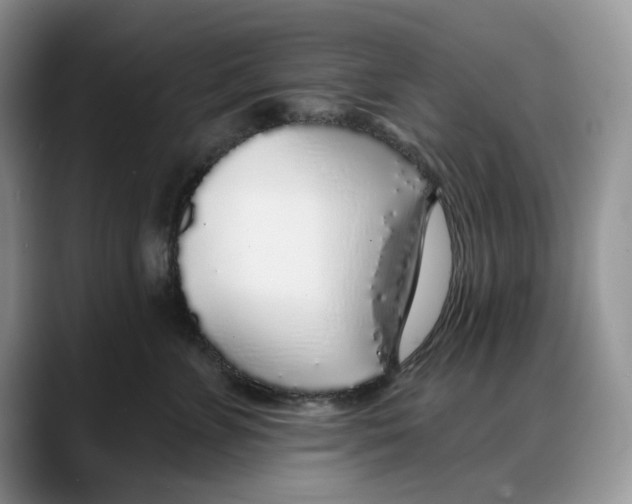 X0000088020715200706081441