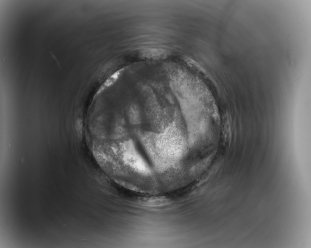 X0000088020716200706081441